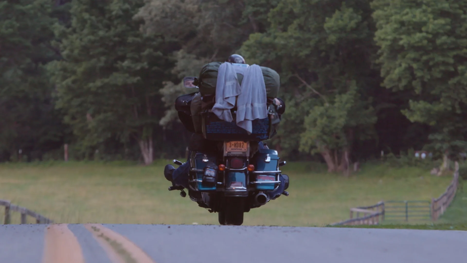Scooter Tramp Scotty 1.jpg