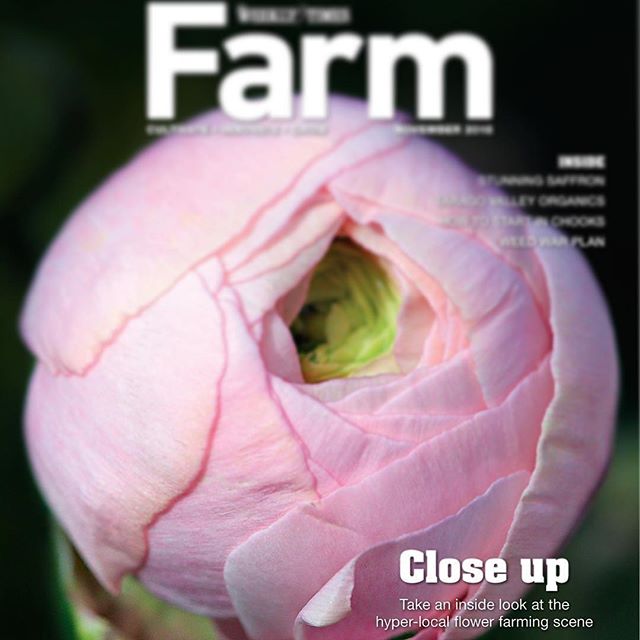 GOOD SEEDS | We&rsquo;re super thrilled to have one of CB&rsquo;s members featured in this week&rsquo;s @farmmagazine_ in the @theweeklytimes ~ farming journalism doesn&rsquo;t get much better! A huge congrats Hayley  @therookblooms ~ Danielle &amp; 