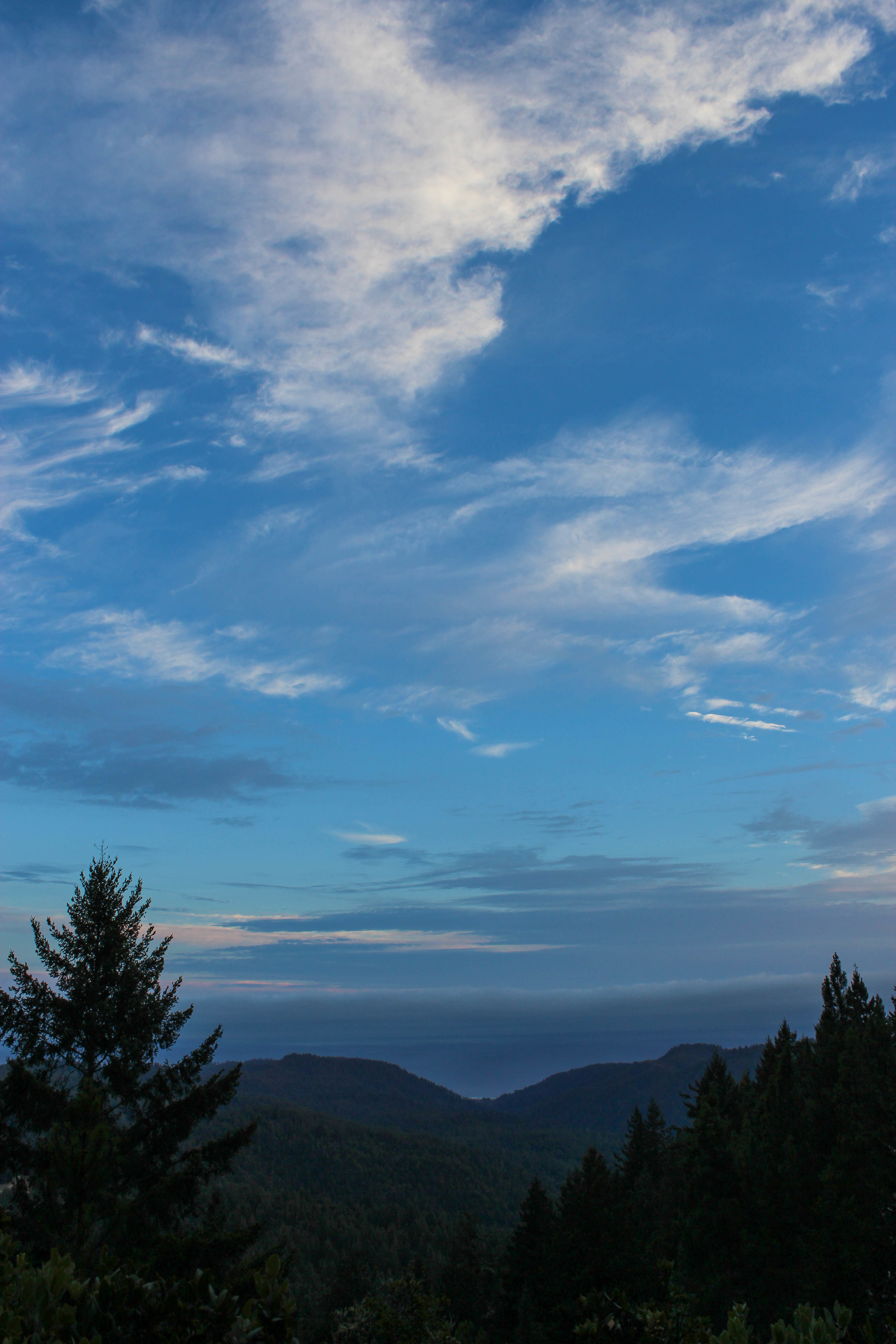Big Basin
