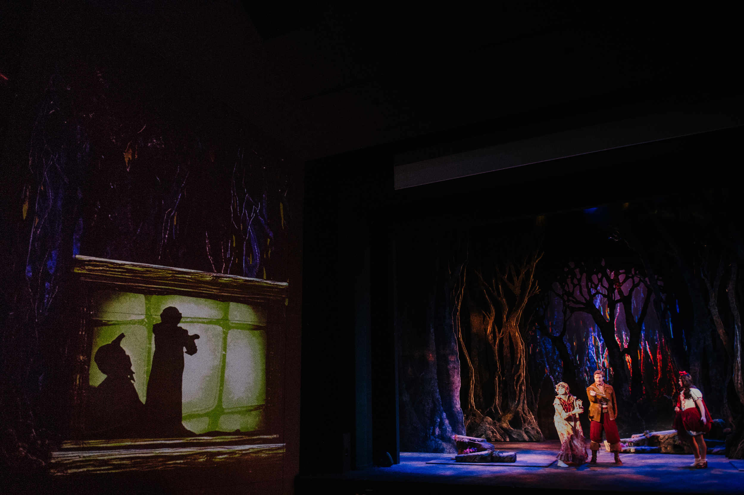 IntotheWoods-083.jpg