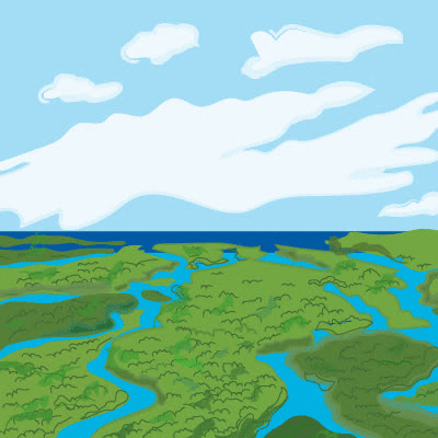 everglades.gif