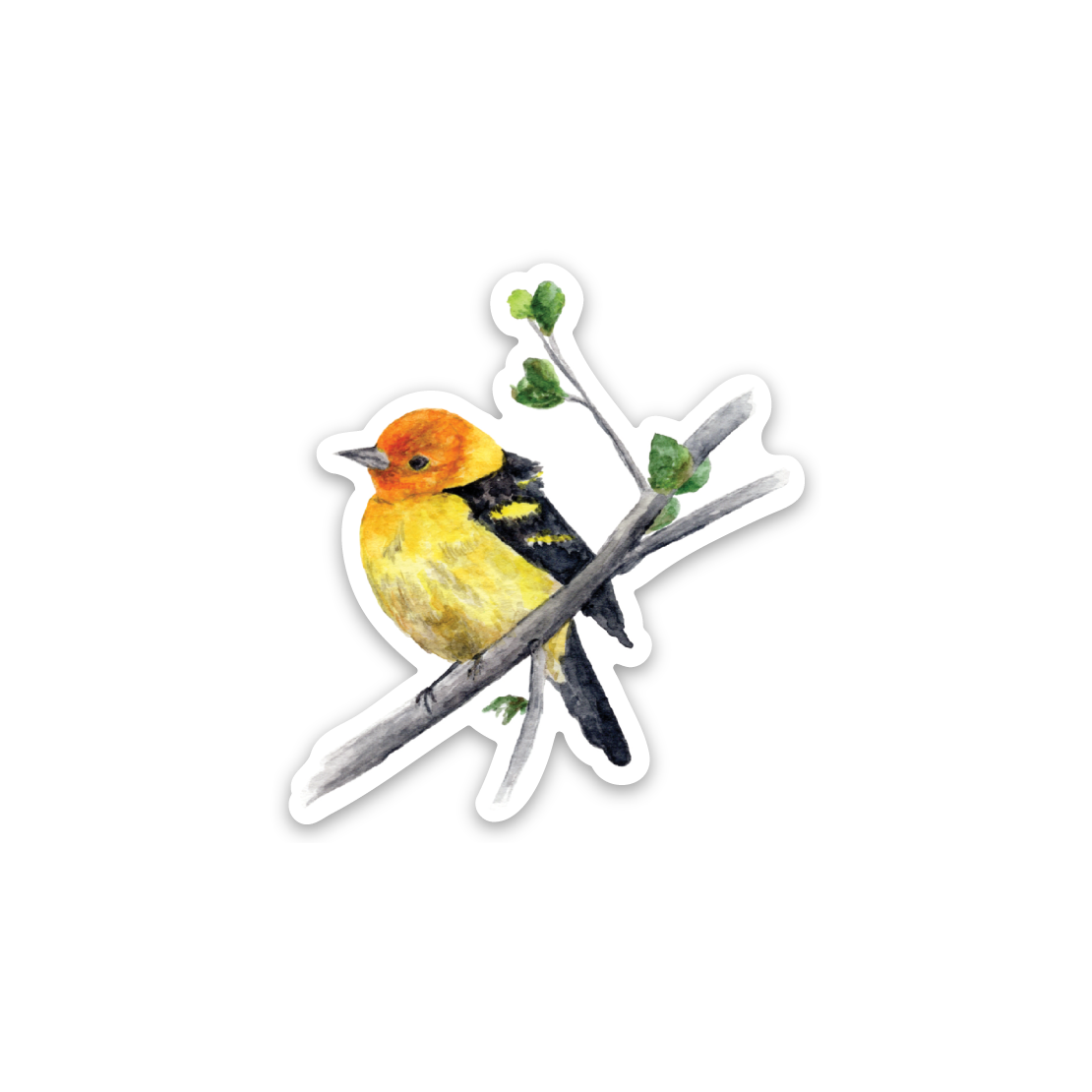 bird.png