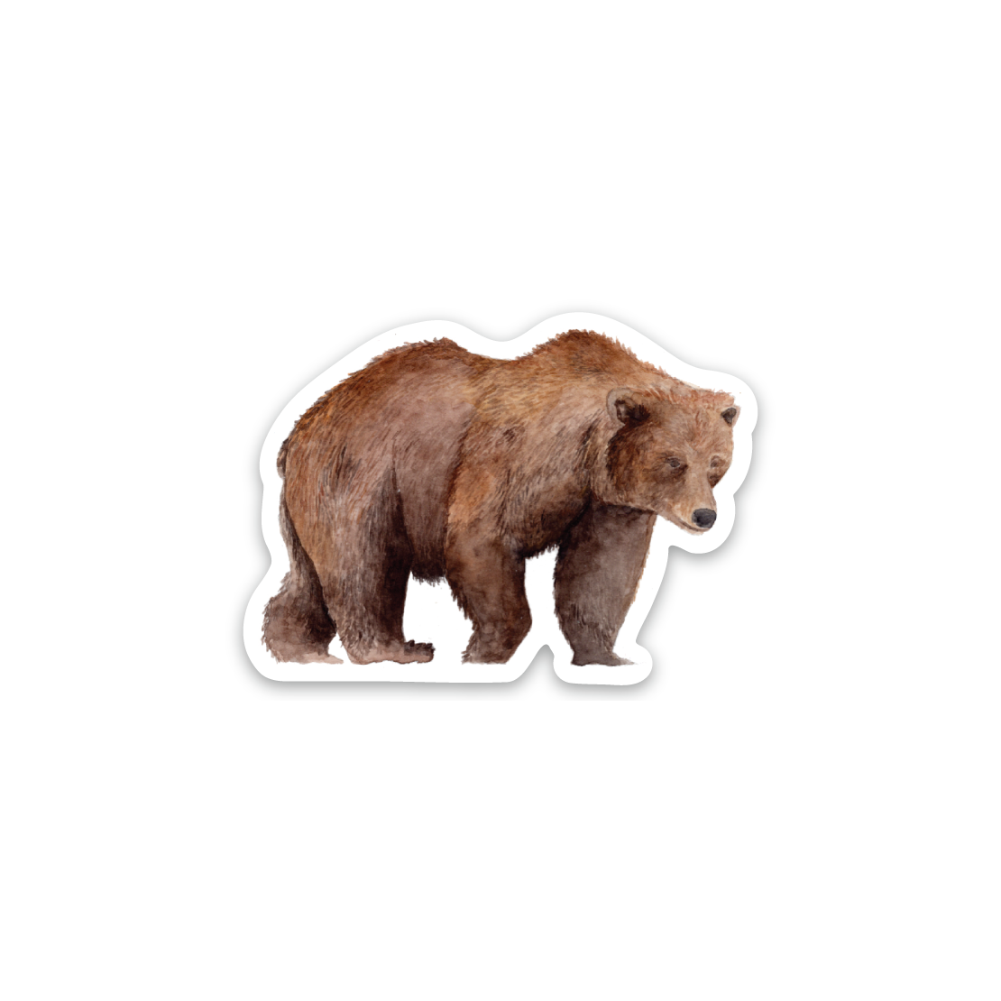 bear.png
