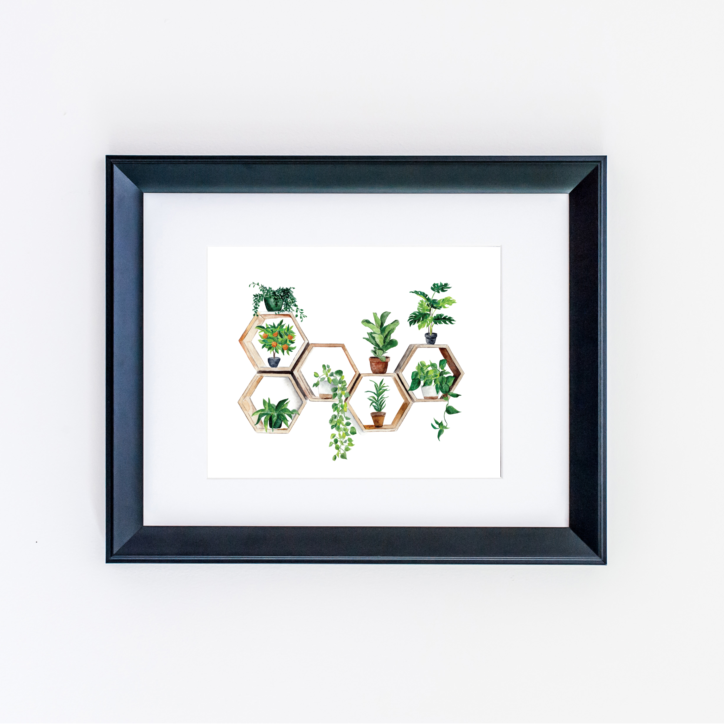 MOCK-black-frame-plants.png