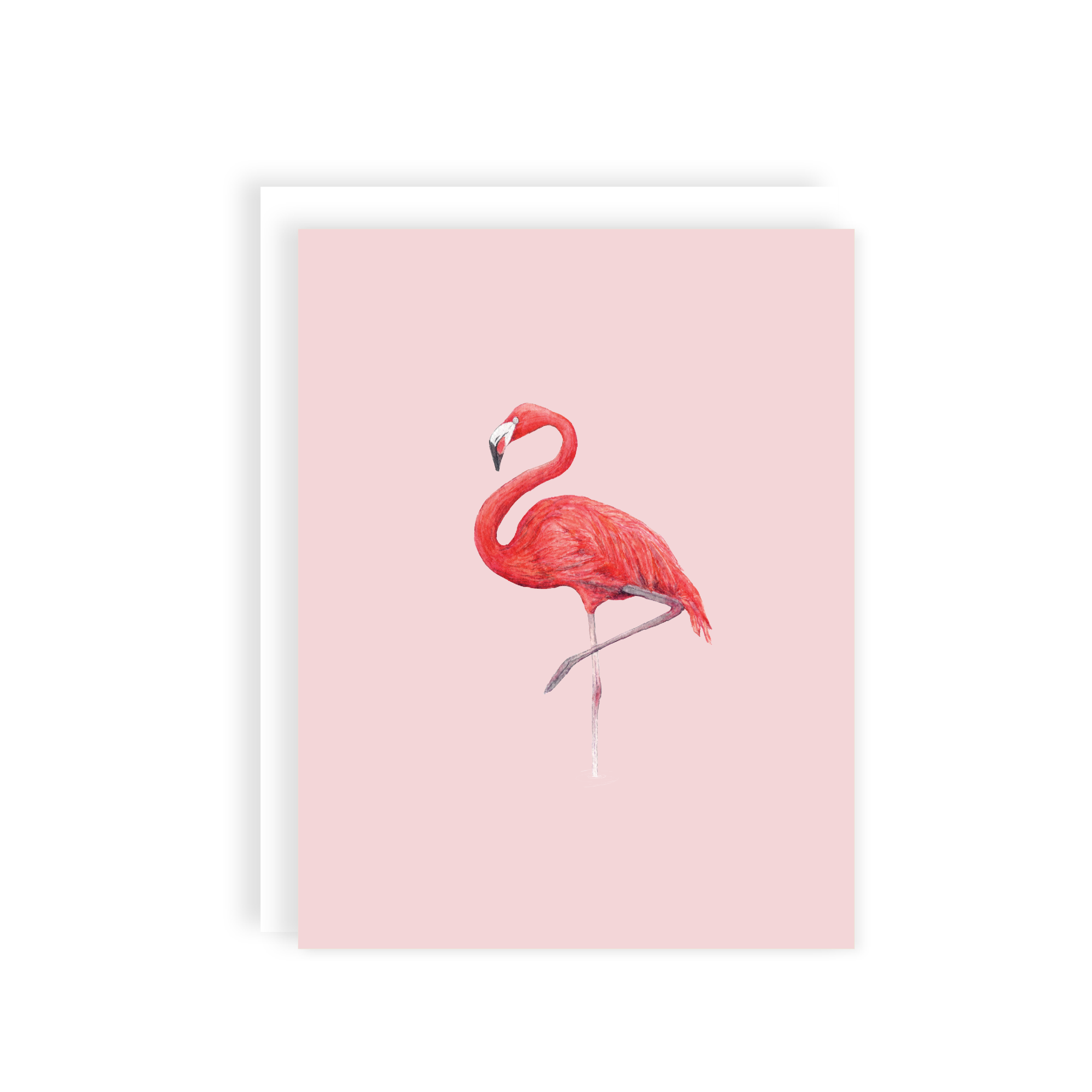 MOCK-flamingo-card_main.png
