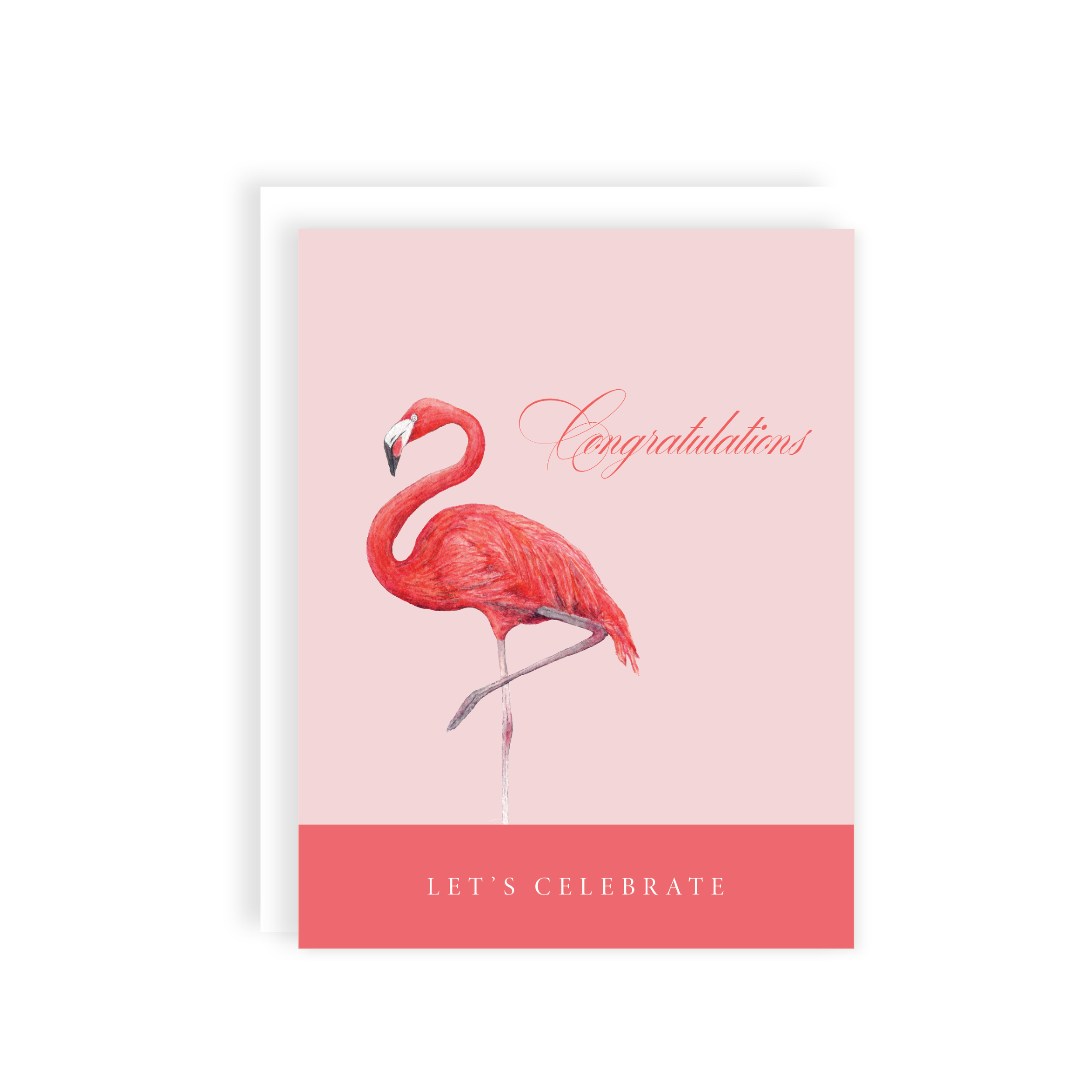 MOCK-flamingo-congrats_main.png