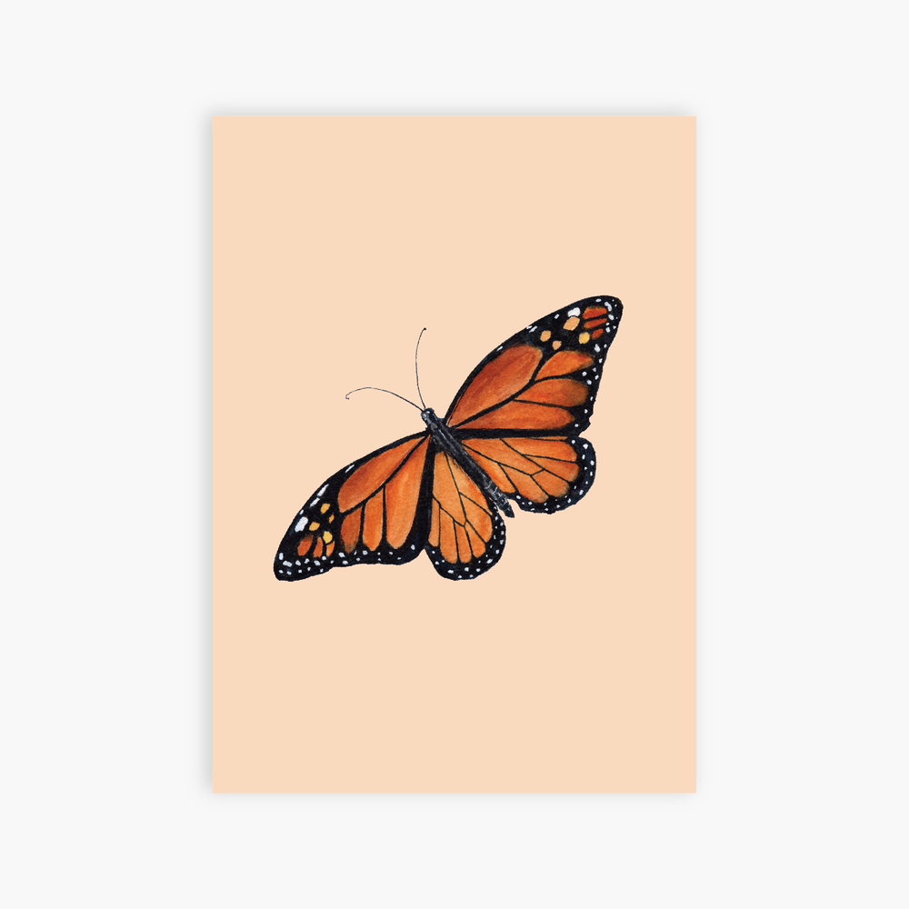 Monarch Butterfly art print — Kaitlyn Ashlee Art & design