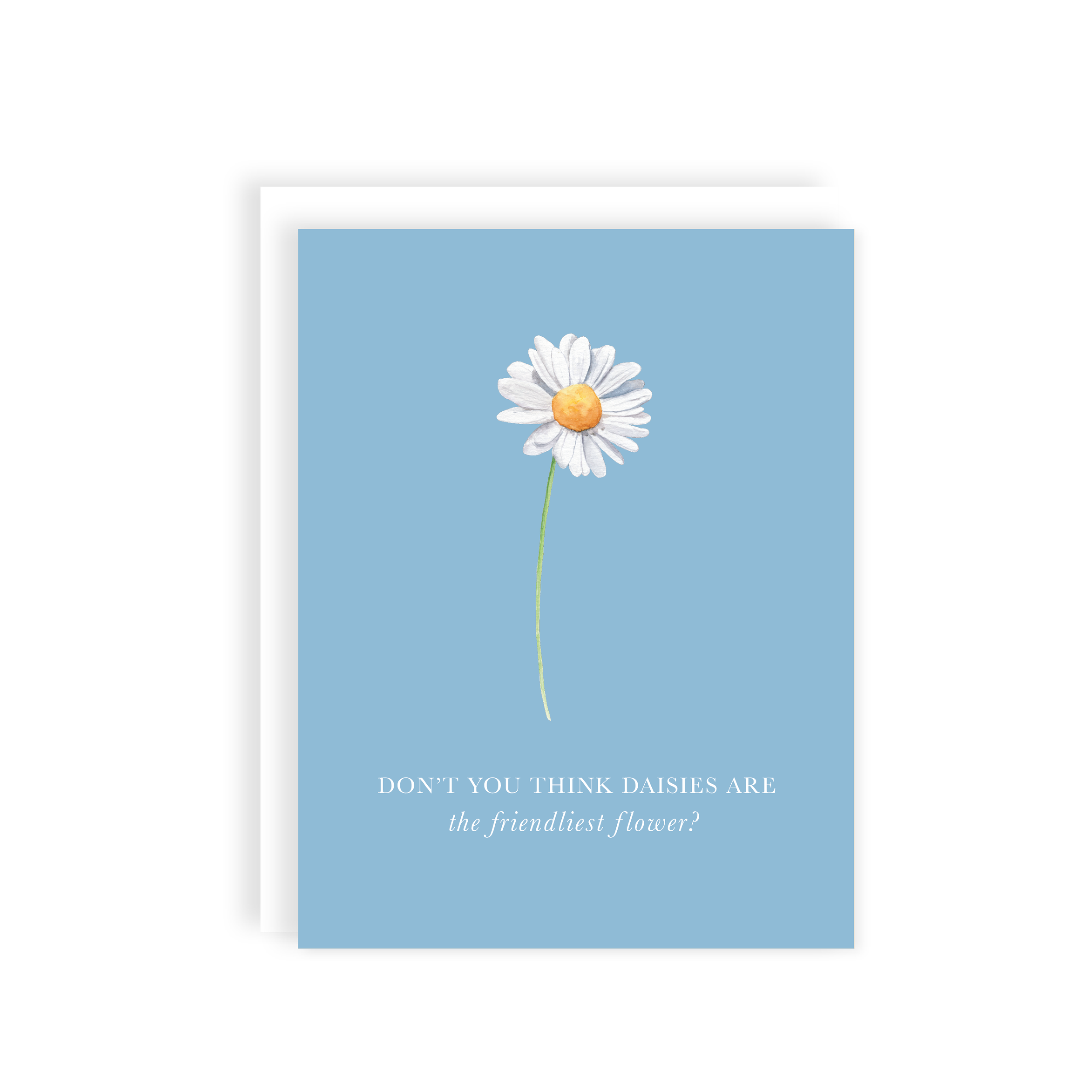 NEW-daisy-mock_main.png