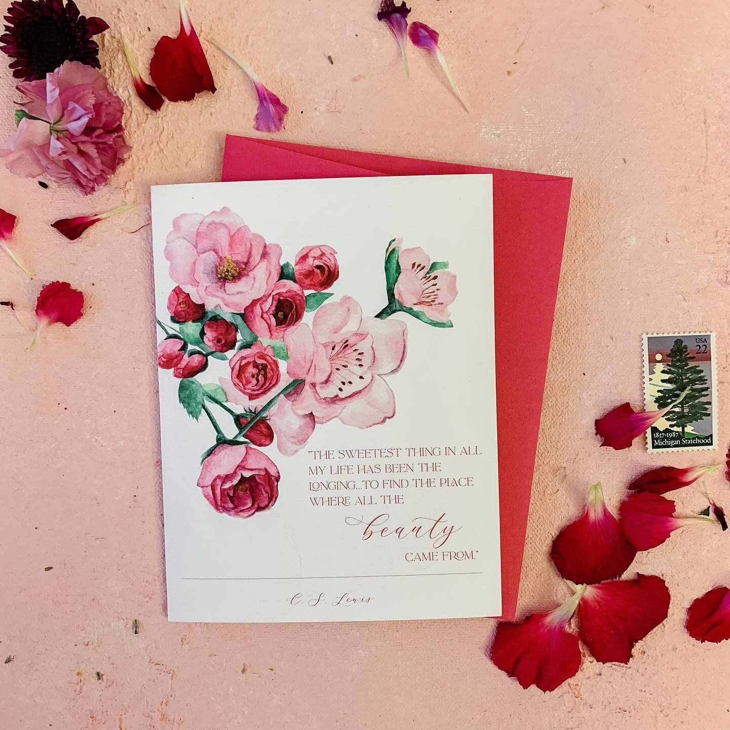 𝒲𝒽𝑒𝓇𝑒 𝒶𝓁𝓁 𝓉𝒽𝑒 𝒷𝑒𝒶𝓊𝓉𝓎 𝒸𝒶𝓂𝑒 𝒻𝓇𝑜𝓂 
🌸
What beauty in the world points you to the Creator? 
.
.
.
.
.
.
.
.
.
.
.
.
#beauty #cslewis #cslewisquotes #creatorgod #Jesus #faithcards #christianencouragement #ecclesiastes #greetingcar