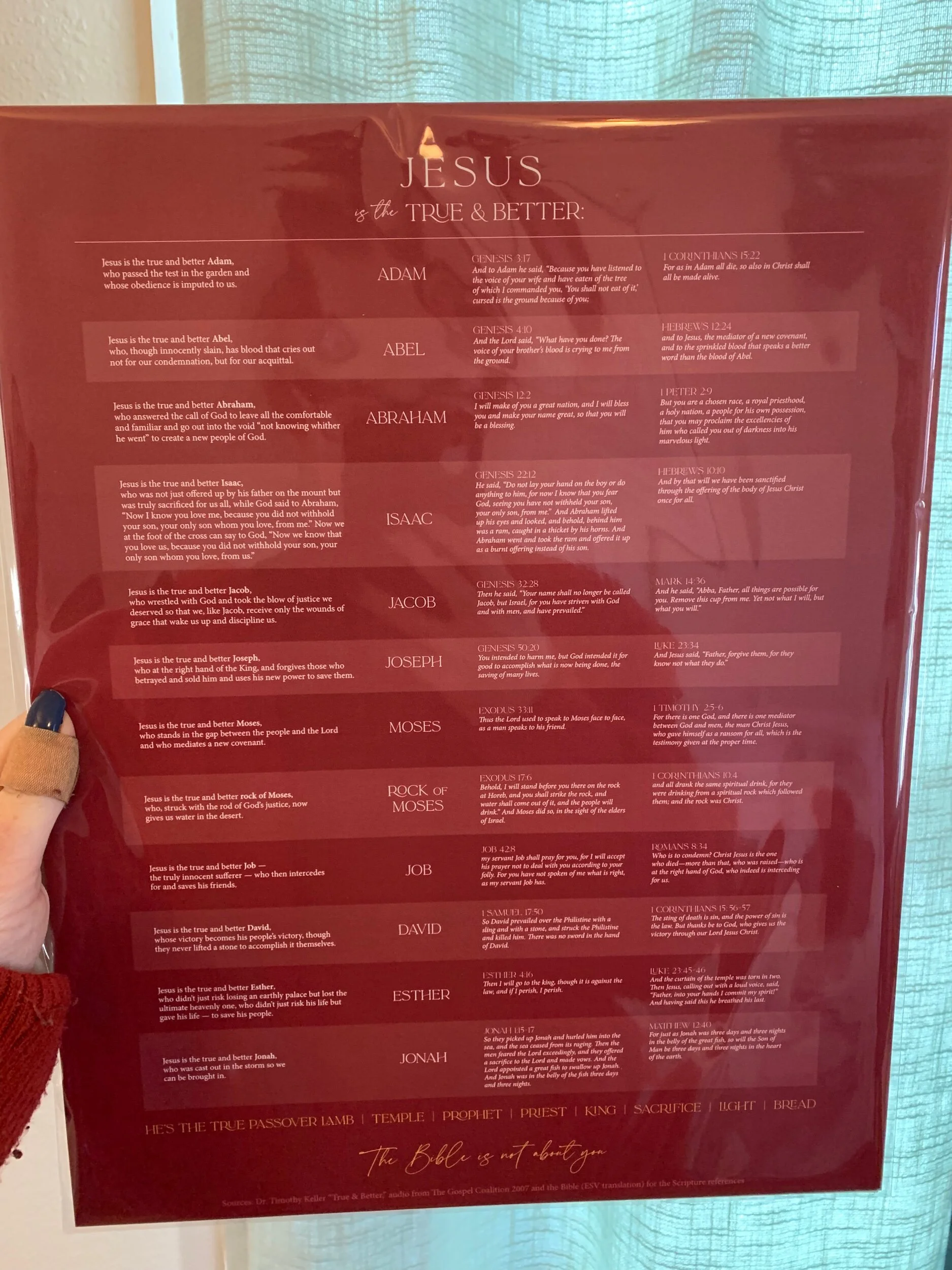 11085E00-C382-4E93-AB1B-52D9E7924B79