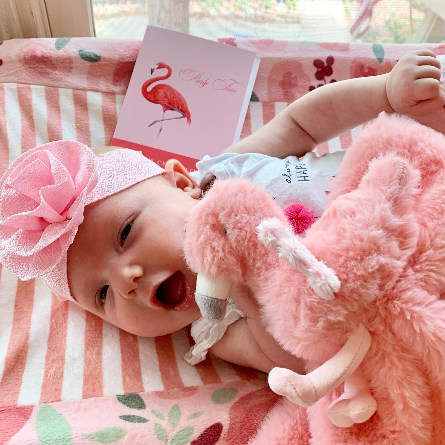 This styled shoot is brought to you by little miss Everleigh Sage&rsquo;s infectious smiles 🥰 + her thrifty $1 🦩flamingo shirt from @onceuponachild_southcolospgs + her precious flamingo lovey from @amandafro88 💖 &amp; stylish headband from aunt Jo