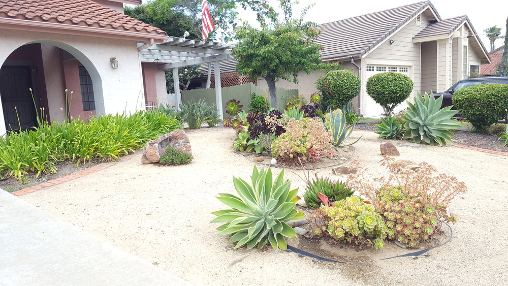 Chula Vista Garden Club Front Yard, Front Lawn Landscaping Pictures Gallery