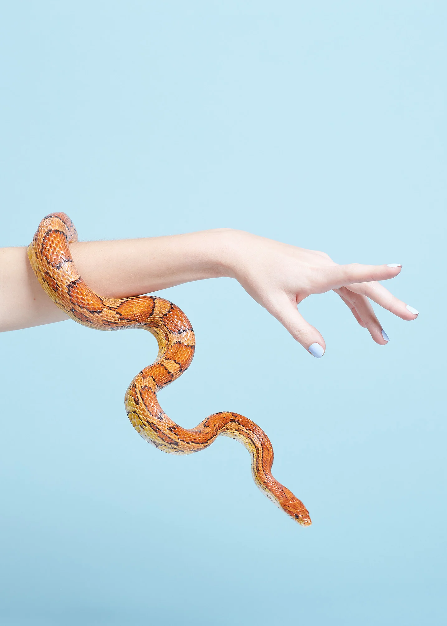 MSartain_HANDS_1_Snake_6504_v2.jpg
