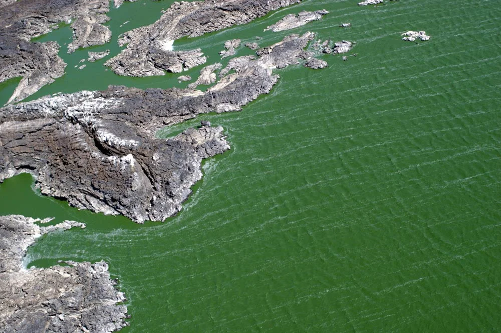 Wind and jade-colored water, Lake Turkana