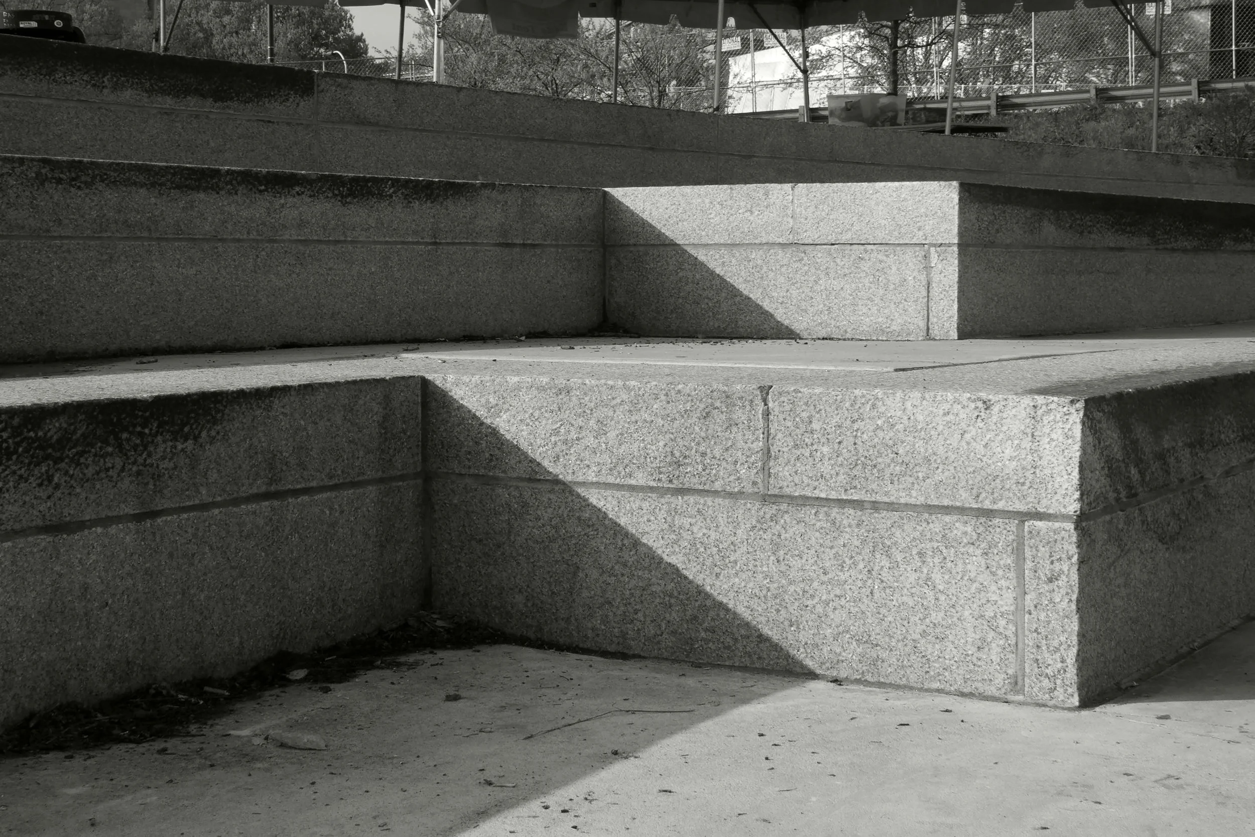 Image_1.jpg