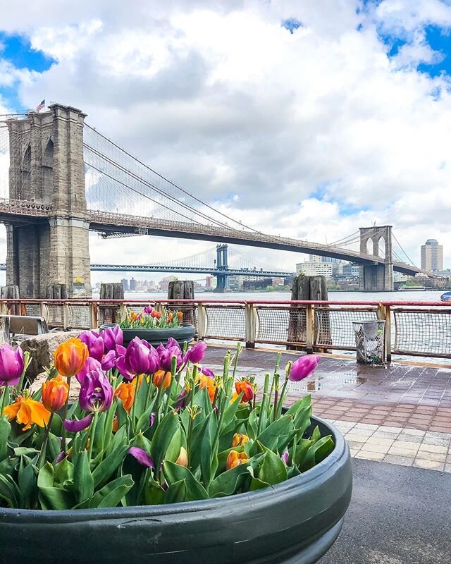 It&rsquo;s May 1st and the flowers are blooming here in New York City. If you were to tell me that the month of April never happened, I would believe you. Not much was accomplished. Not much was gained (except for many a few pounds). I spent the enti