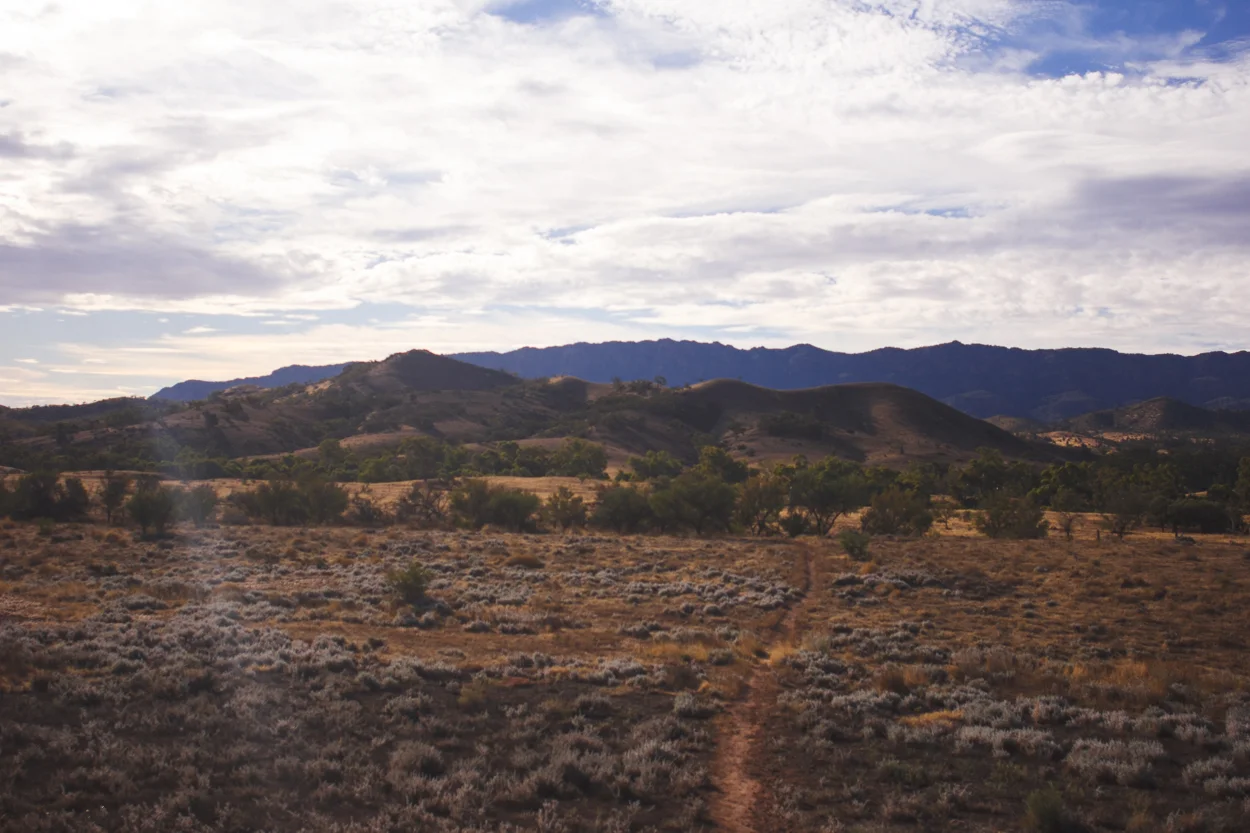 Melbourne to Alice Springs_KateBensen_small31.jpg