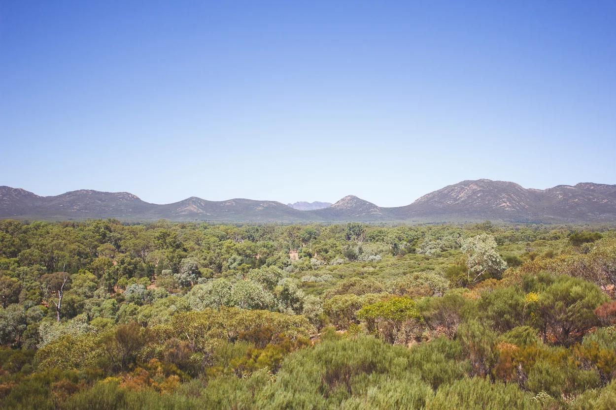 Melbourne to Alice Springs_KateBensen_small33.jpg