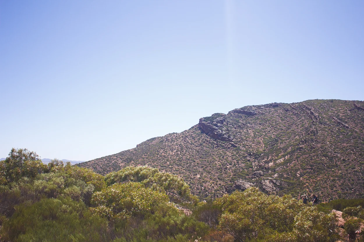 Melbourne to Alice Springs_KateBensen_small36.jpg