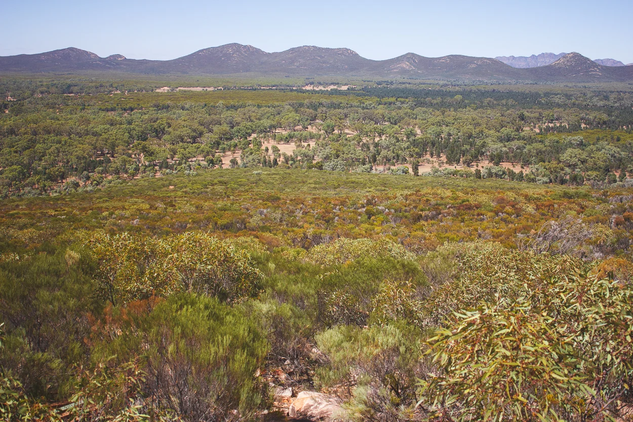 Melbourne to Alice Springs_KateBensen_small35.jpg