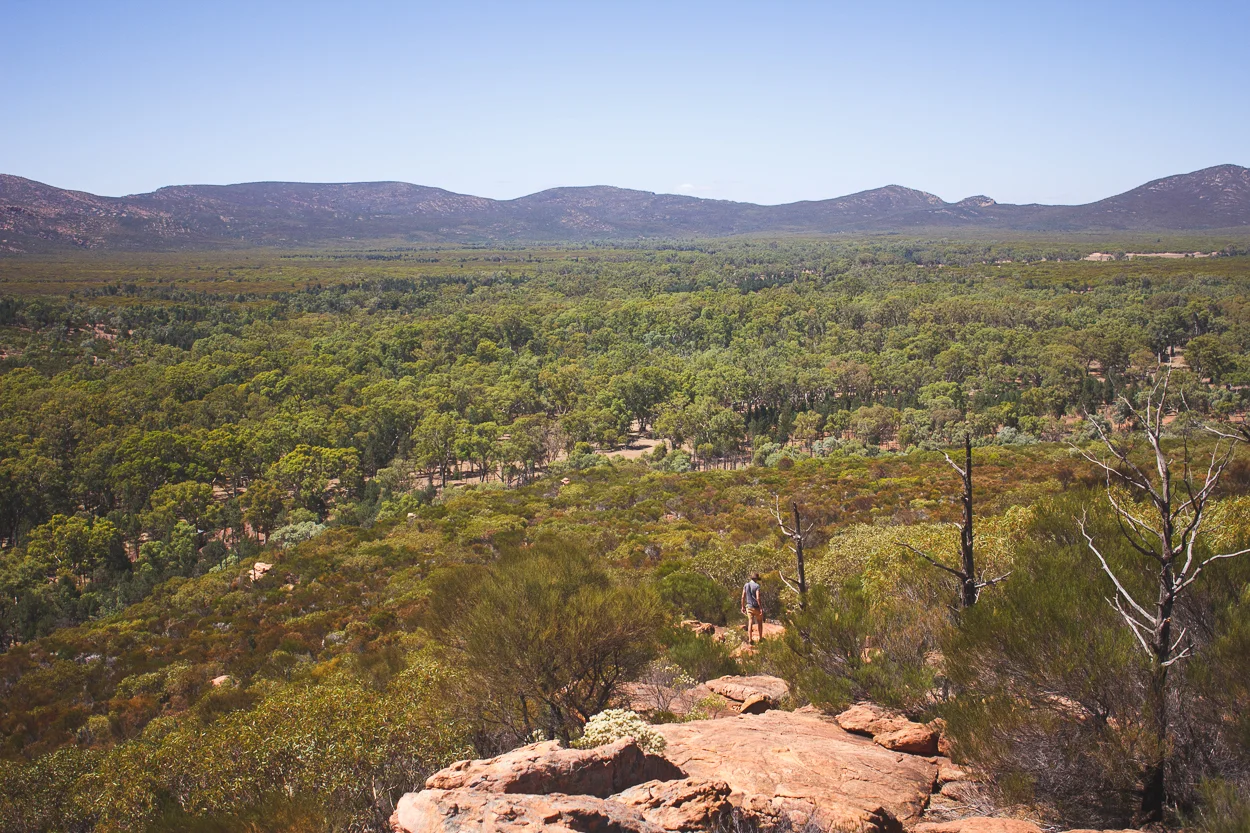 Melbourne to Alice Springs_KateBensen_small37.jpg