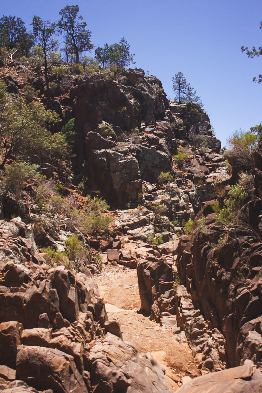 Melbourne to Alice Springs_KateBensen_small38.jpg