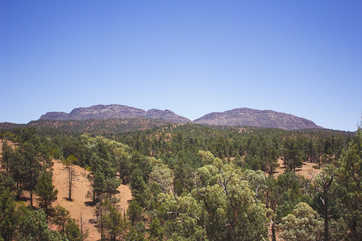 Melbourne to Alice Springs_KateBensen_small40.jpg