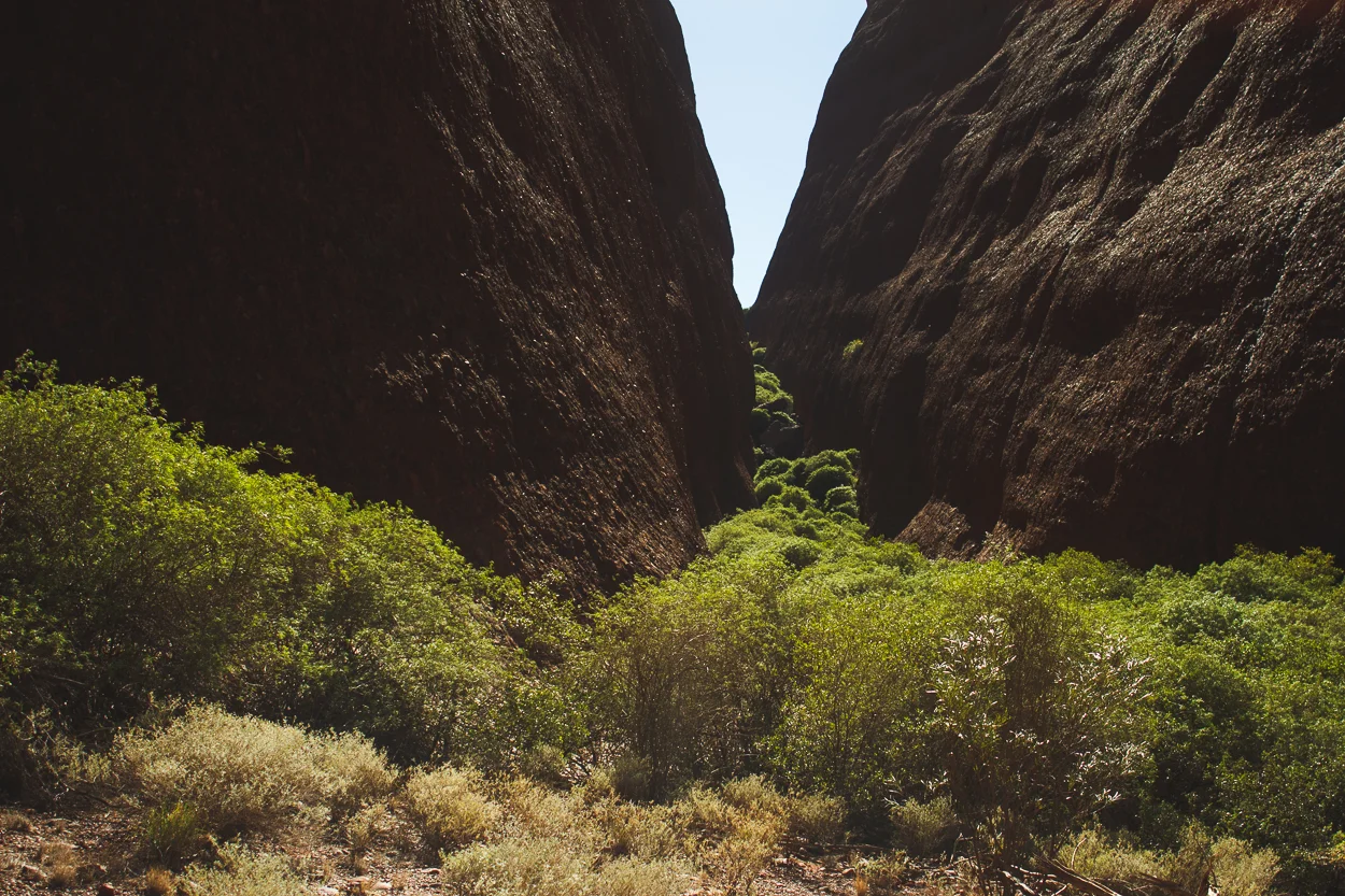 Melbourne to Alice Springs_KateBensen_small104.jpg