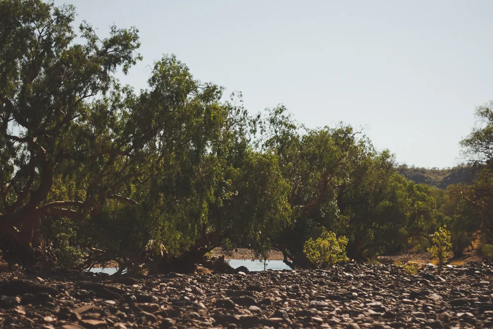 kate_bensen_Kimberley tour14.jpg