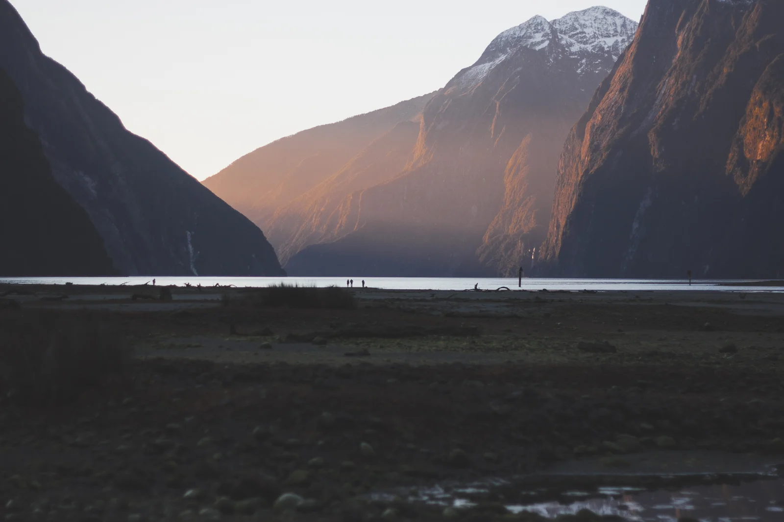 NZ_Mon8th_part2_katebensen_1_small.jpg