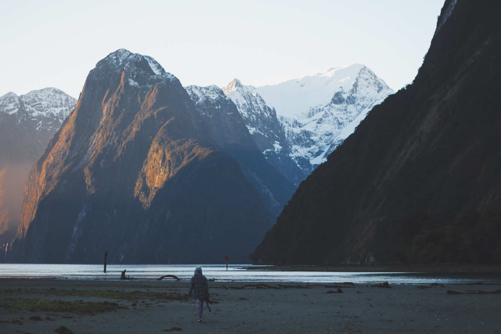 NZ_Mon8th_part2_katebensen_3_small.jpg