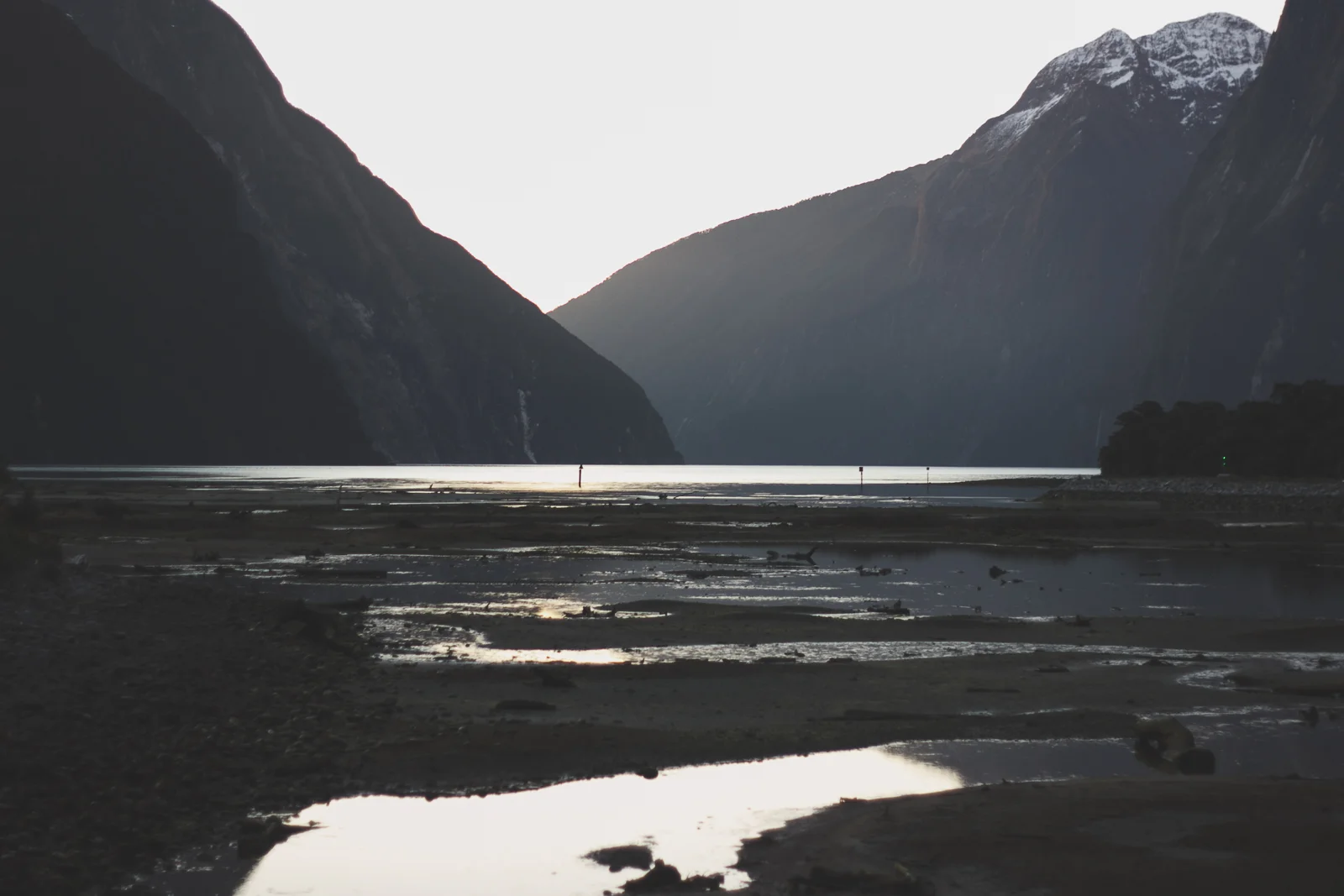 NZ_Mon8th_part2_katebensen_11_small.jpg