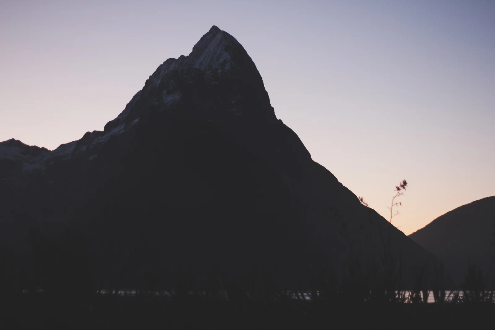 NZ_Mon8th_part2_katebensen_14_small.jpg