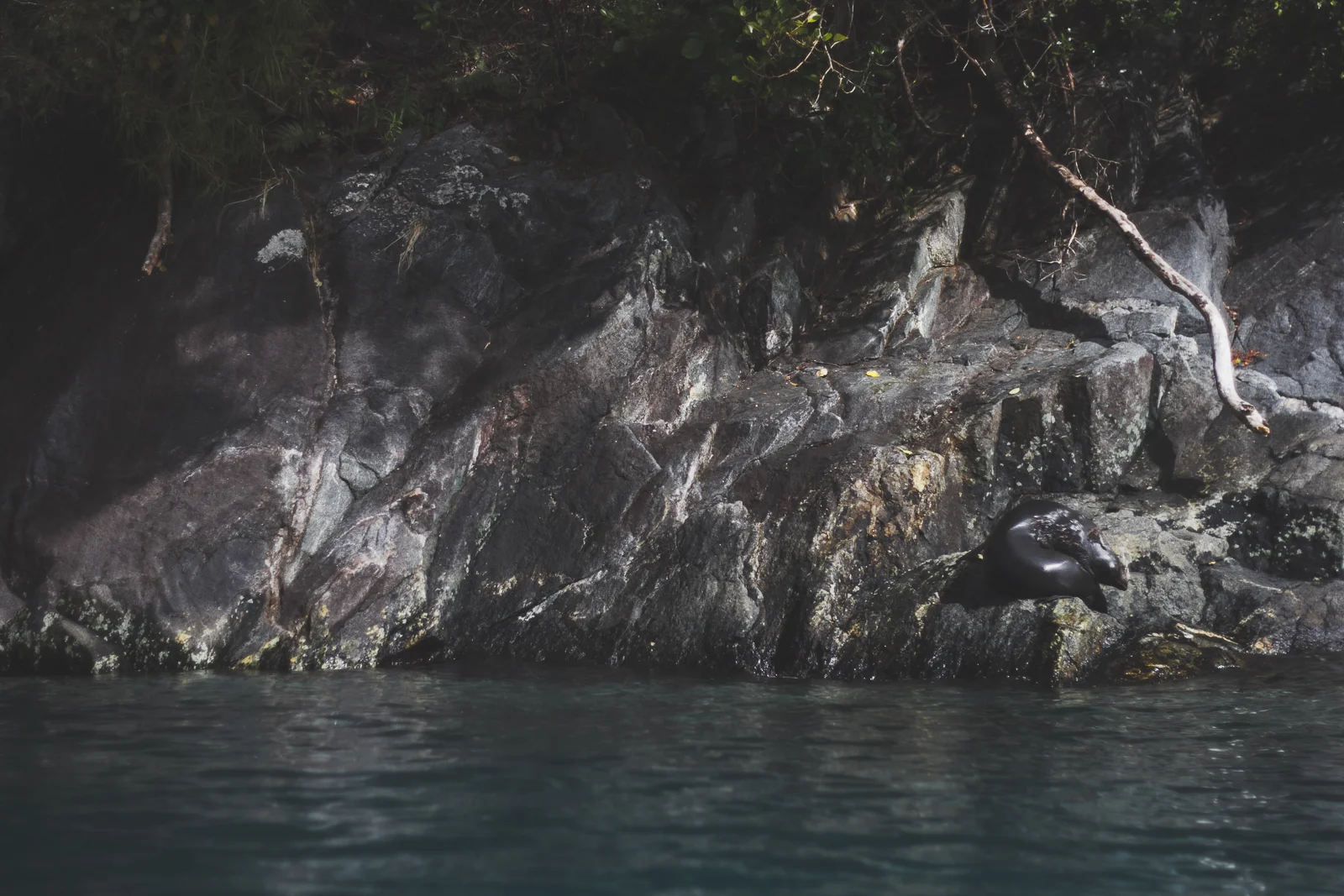 NZ_MilfordKayak_katebensen_3_small.jpg