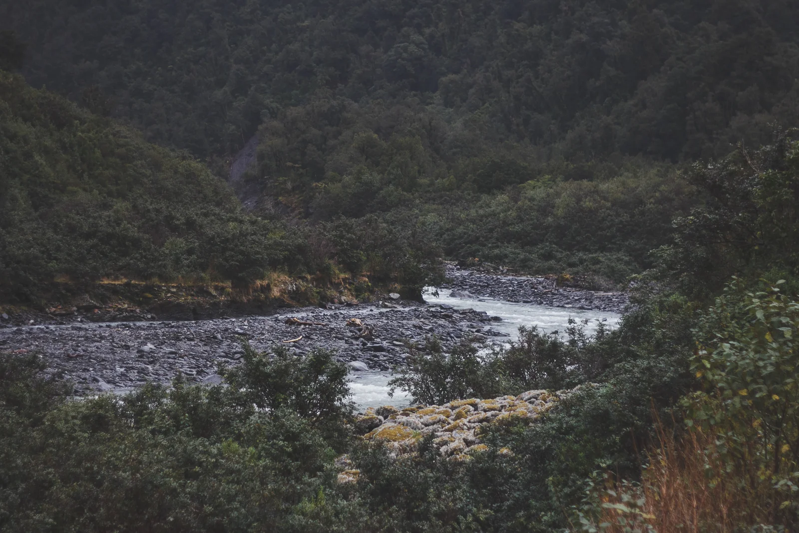 NZ_rainyfriday_katebensen_6_small.jpg