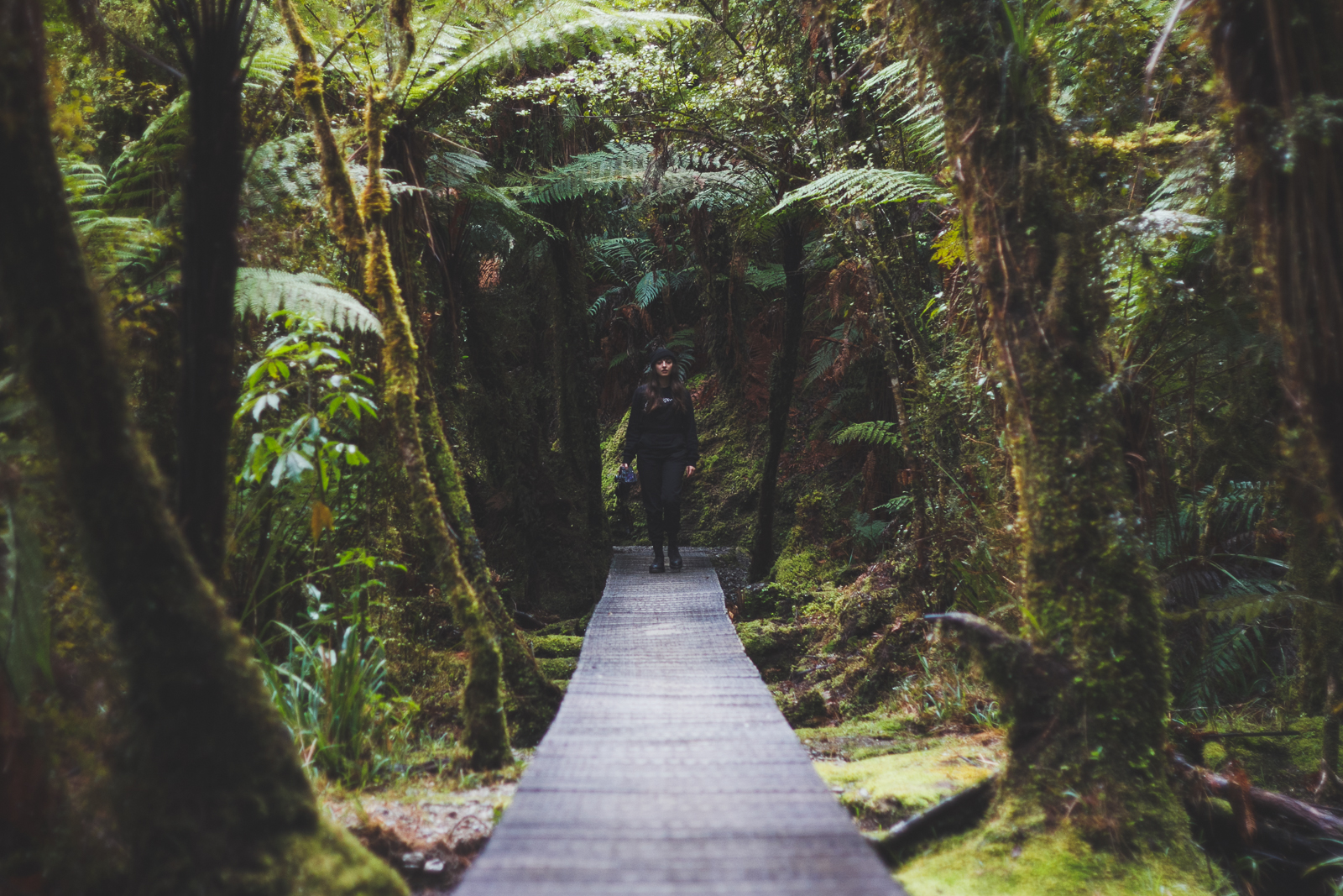 NZ_Sat13th_katebensen_15_smalls.jpg