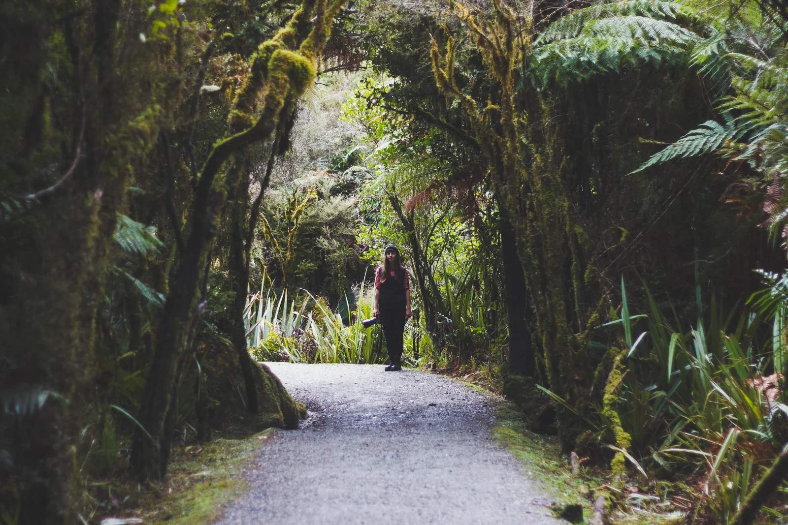 NZ_Sat13th_katebensen_16_smalls.jpg