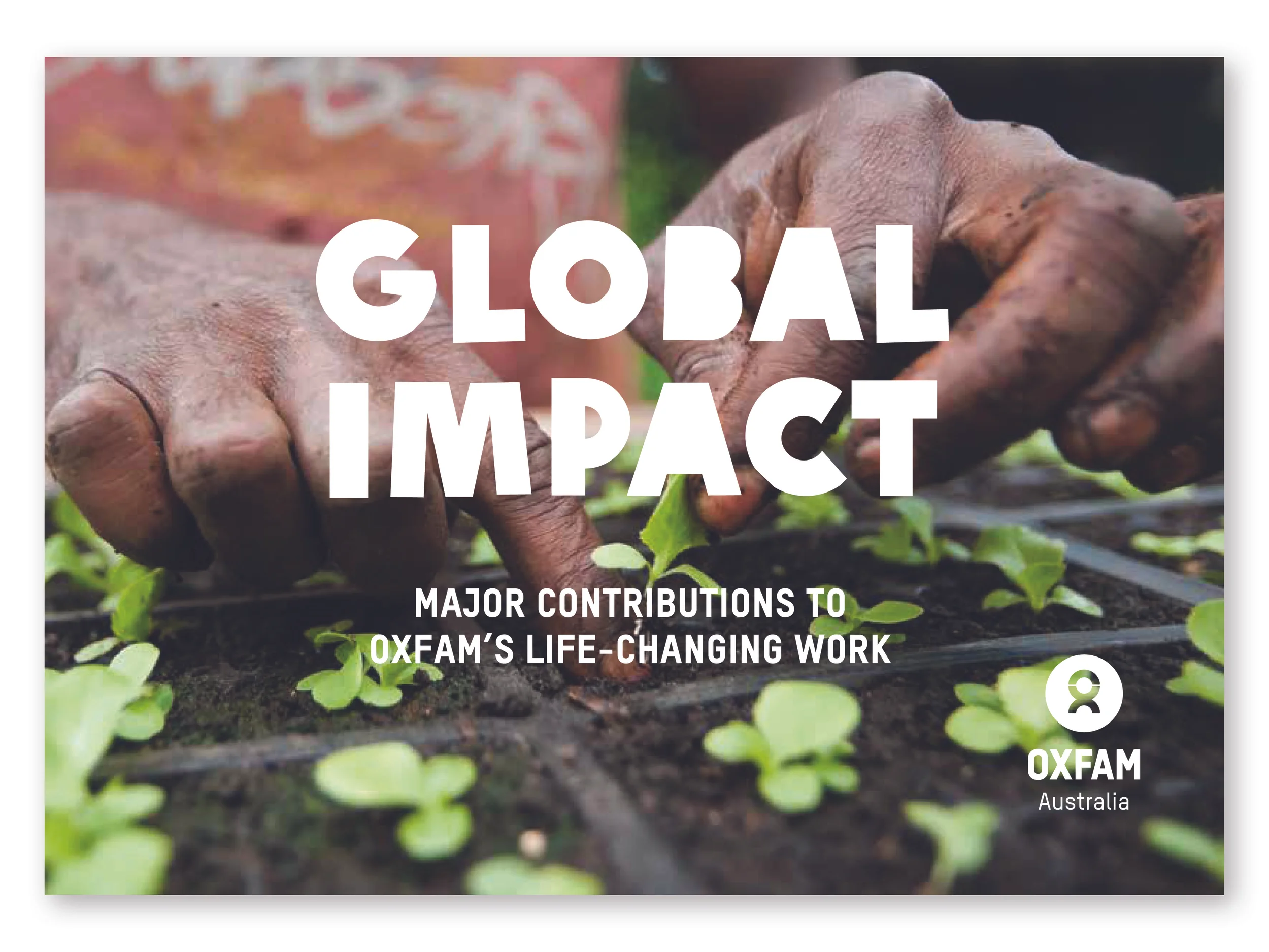 Bones studio Oxfam work16.jpg