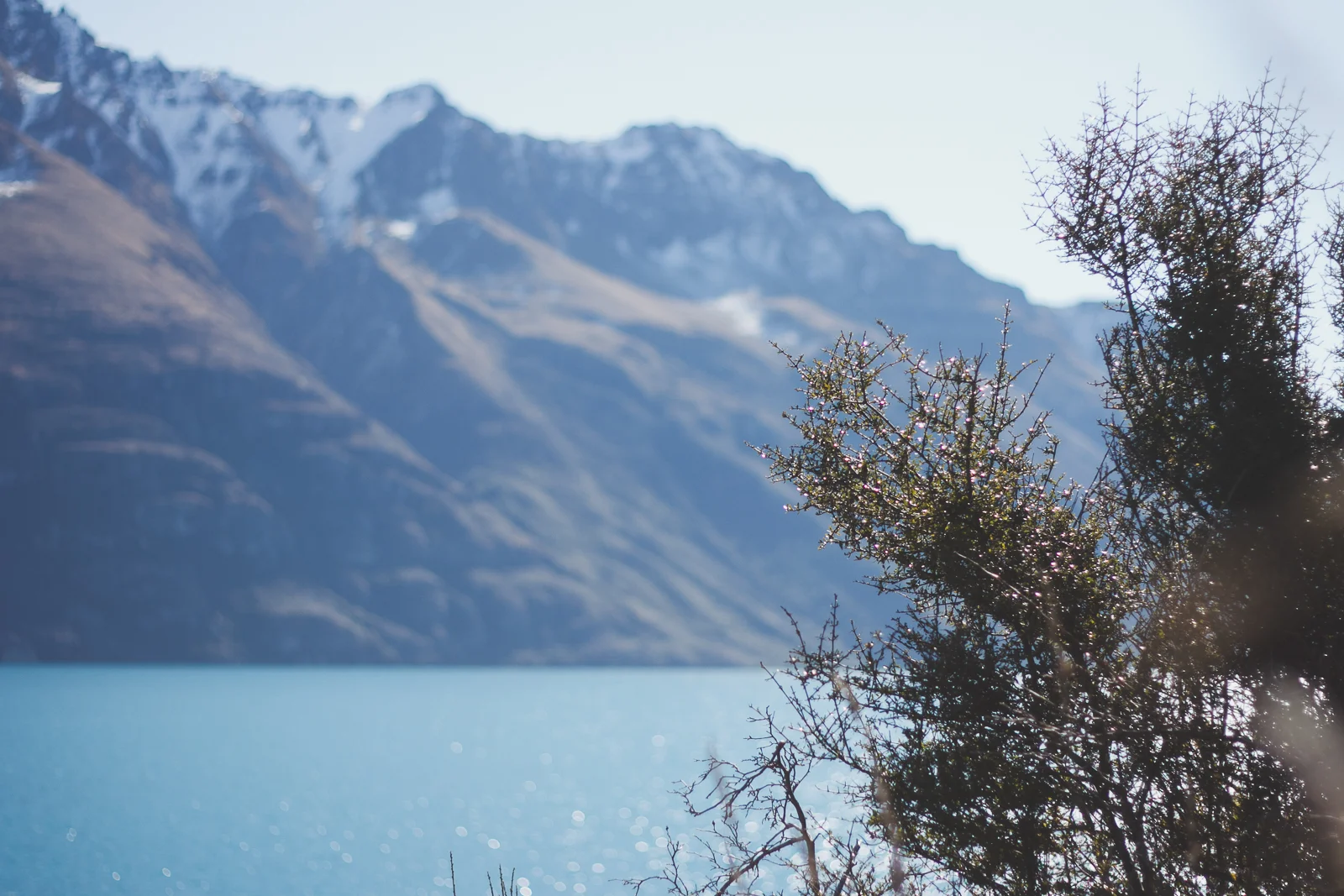 NZ__sun7th_katebensen_2_small.jpg