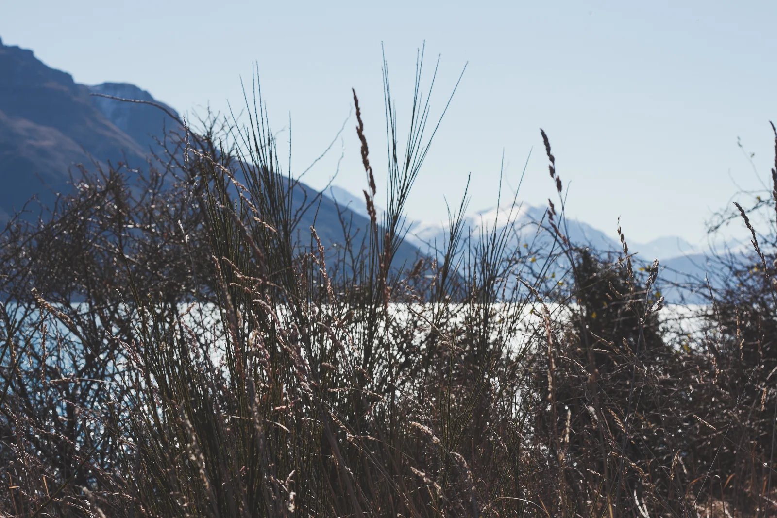 NZ__sun7th_katebensen_1_small.jpg