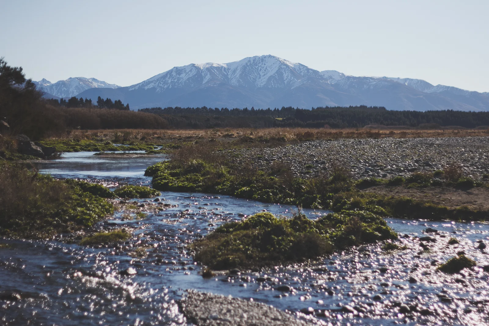 NZ__sun7th_katebensen_8_small.jpg
