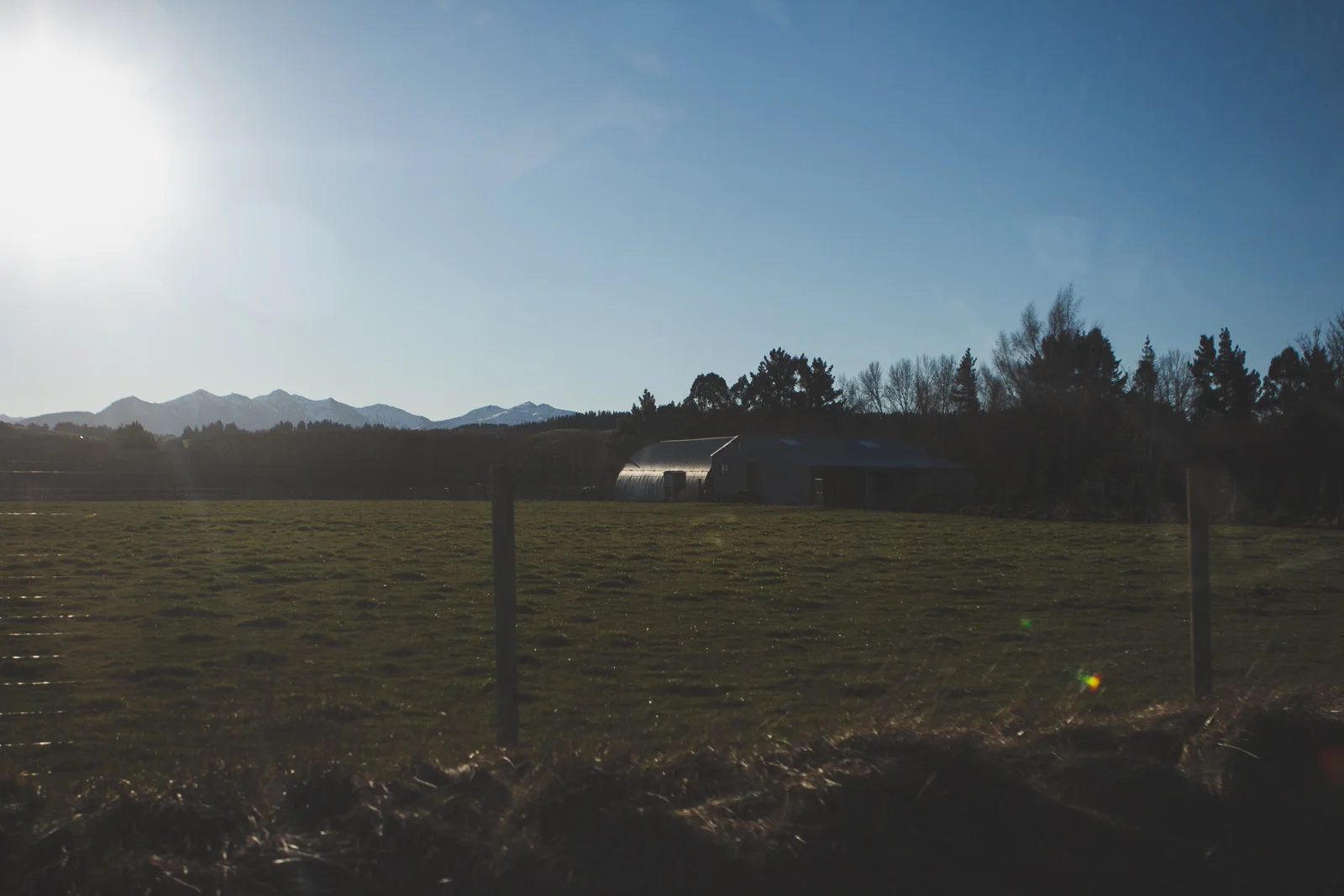 NZ__sun7th_katebensen_20_small.jpg
