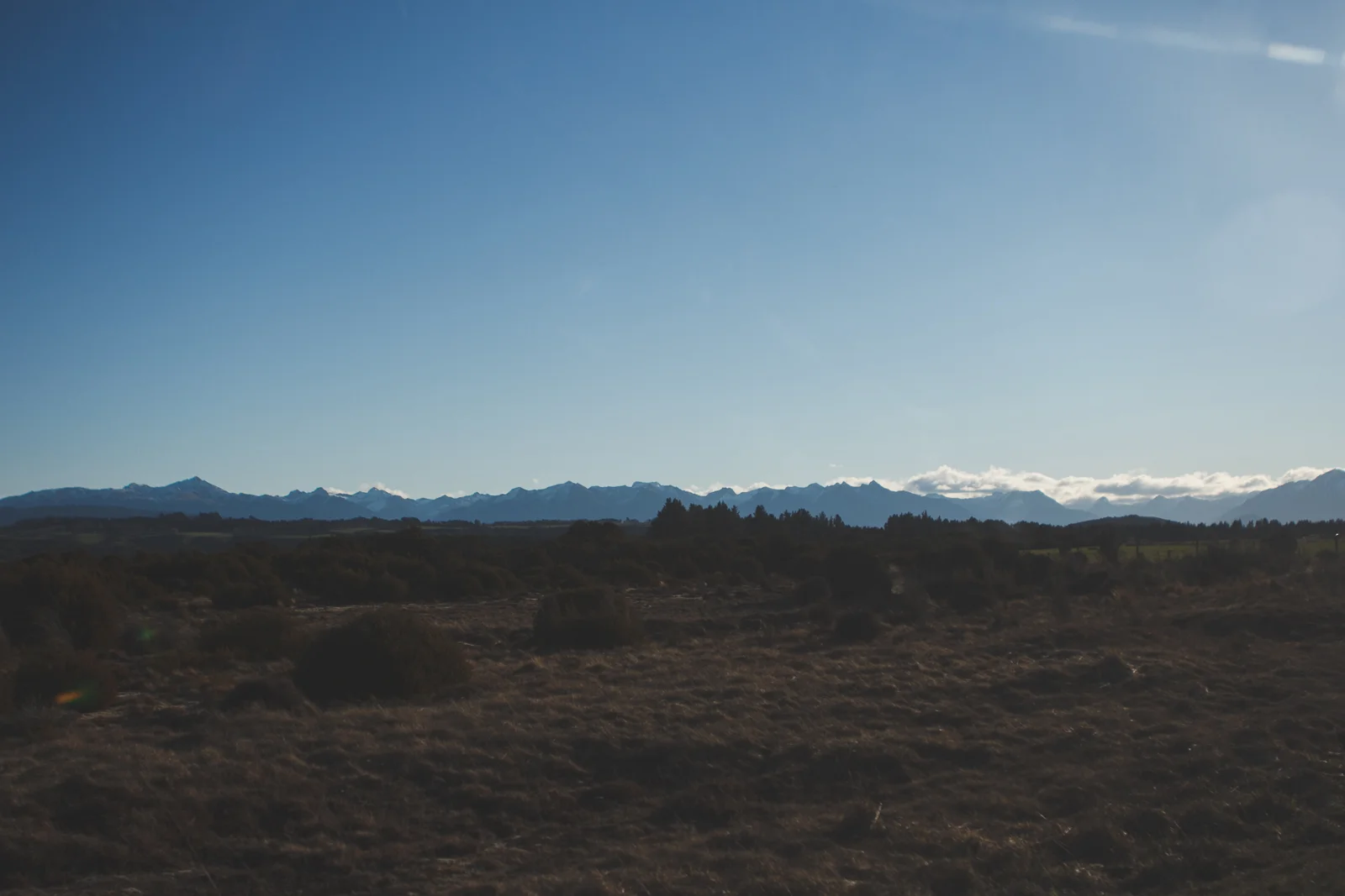 NZ__sun7th_katebensen_19_small.jpg