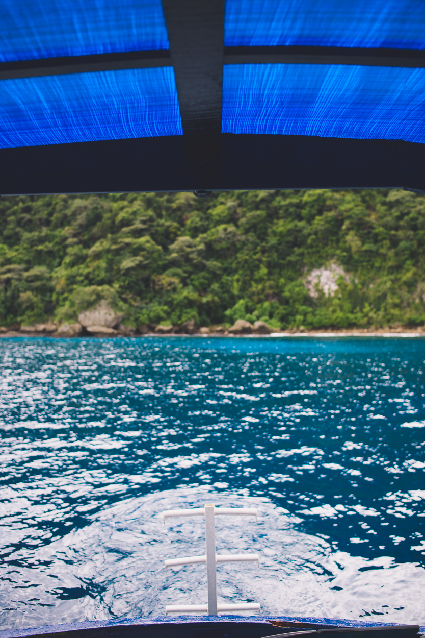 KateBensen-Tonga2016-SMALL-1379.jpg