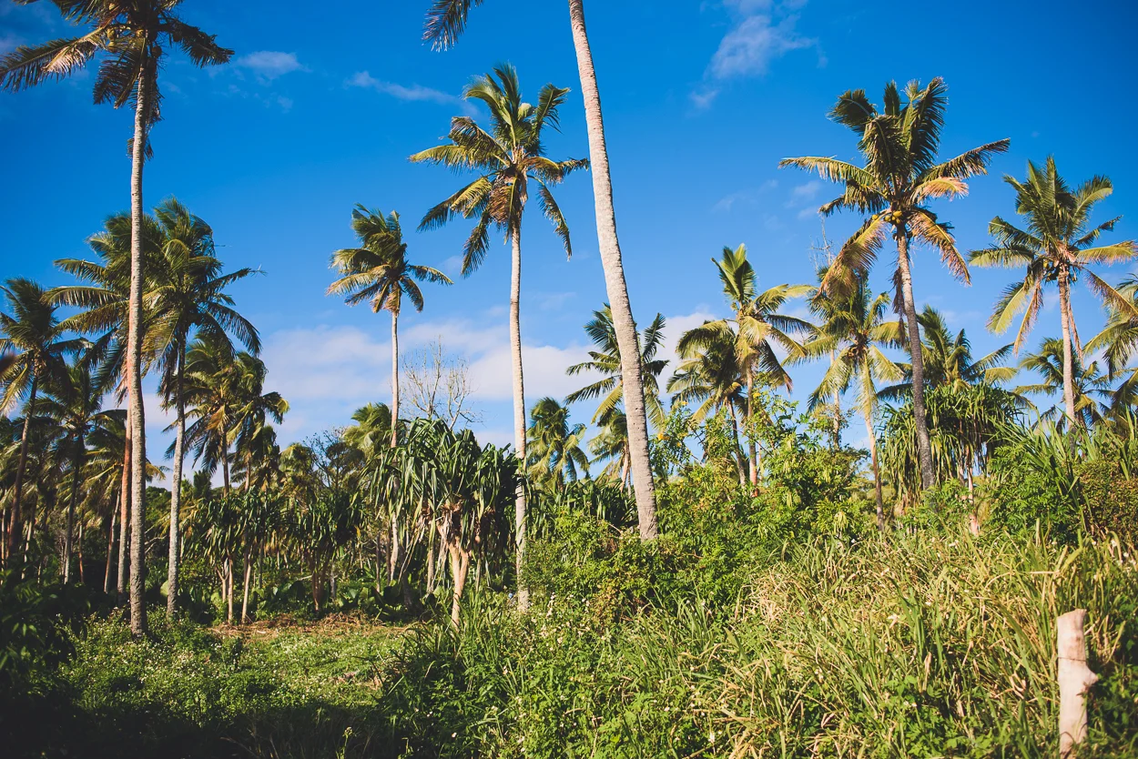 KateBensen-Tonga2016-SMALL-1531.jpg