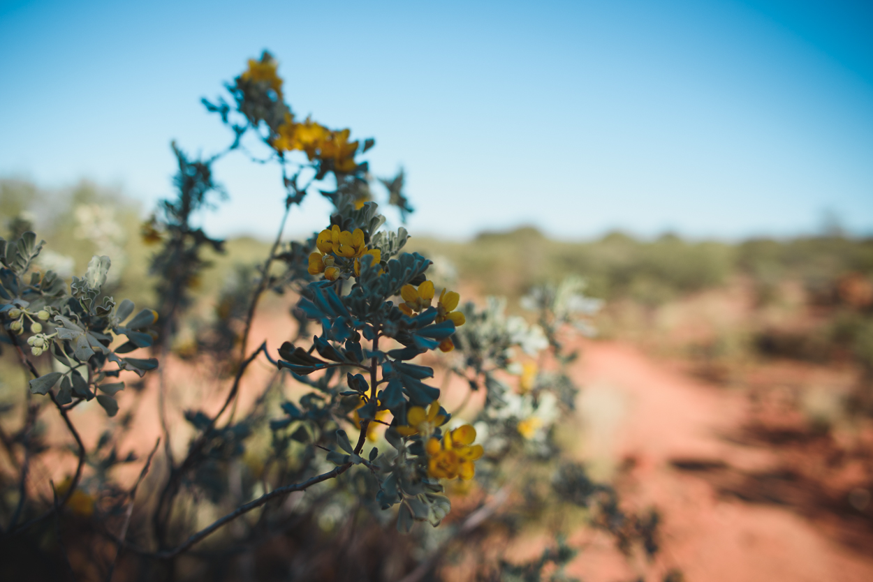 KateBensen-Larapinta-Day1-OxfamAUS-SMALL-1817.jpg