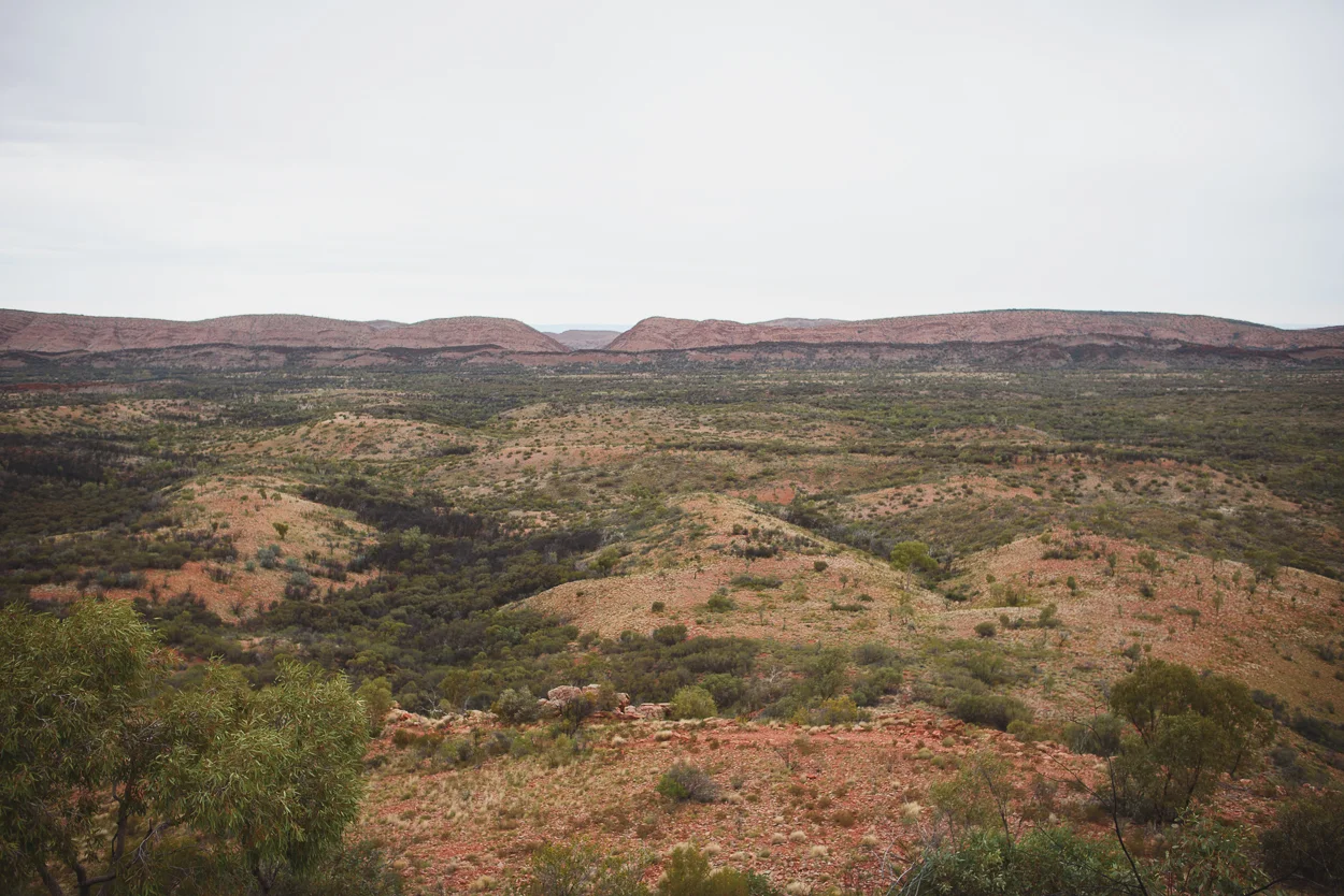 KateBensen-Larapinta-Day3-OxfamAUS-SMALL-2104.jpg