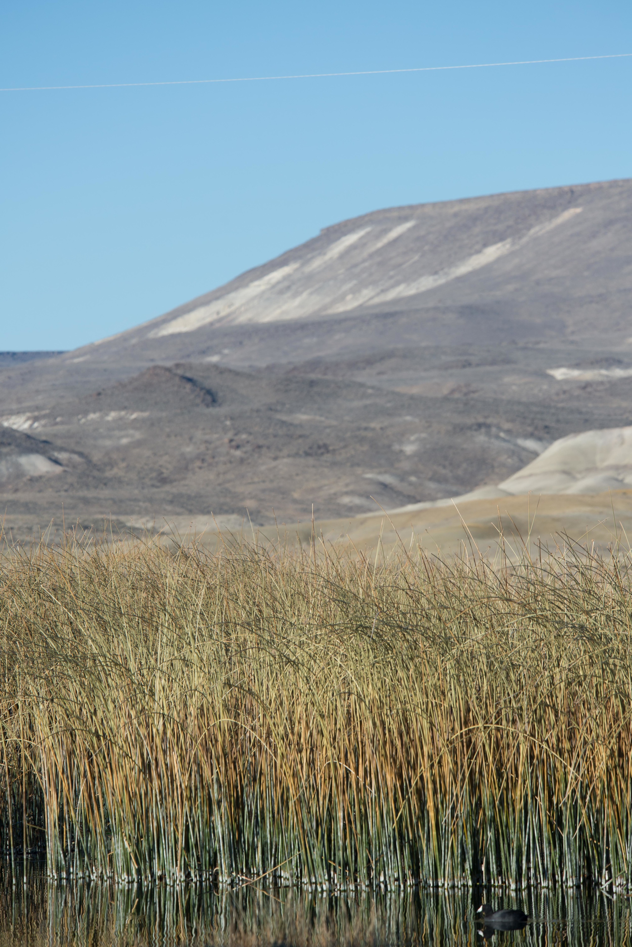 Winnemucca To Sea-4.jpg