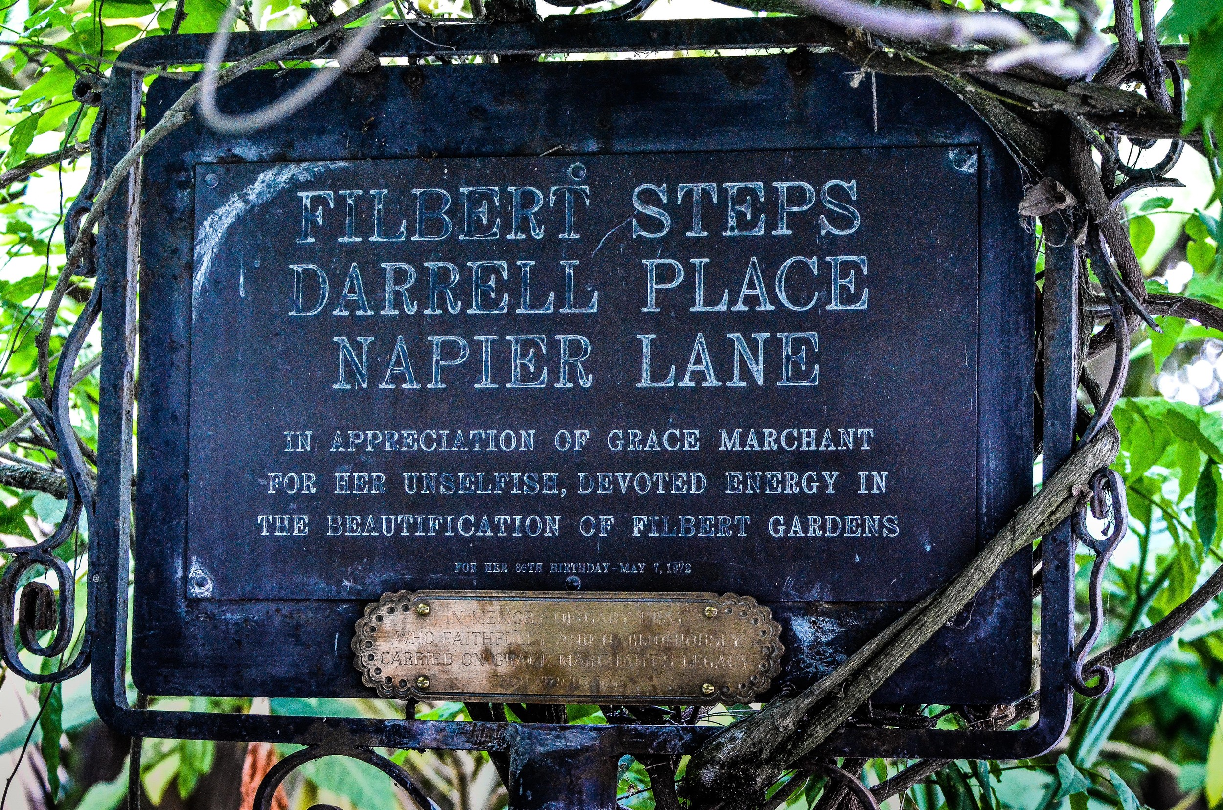 Telegraph Hill-4.jpg