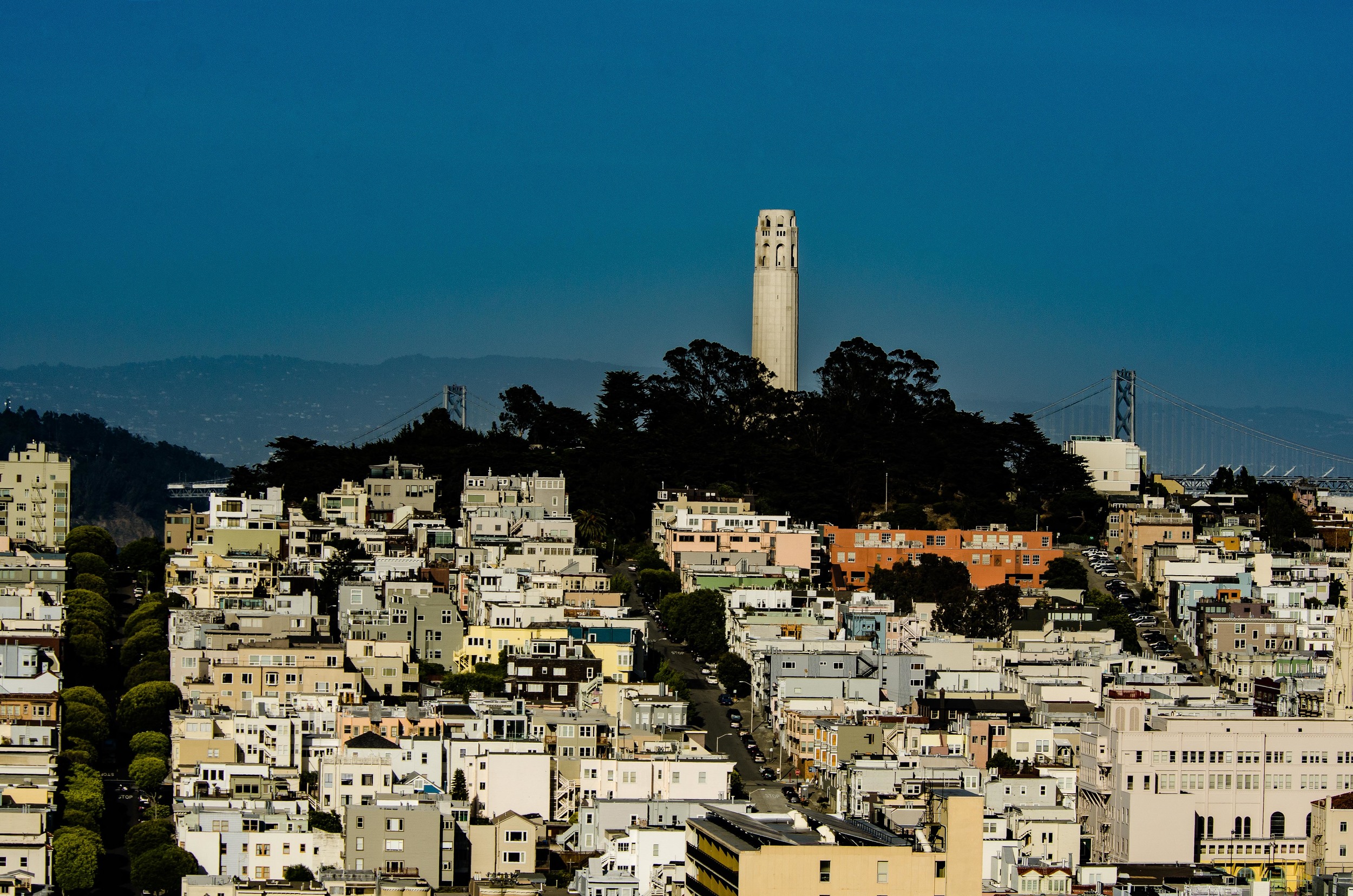 Telegraph Hill-8.jpg